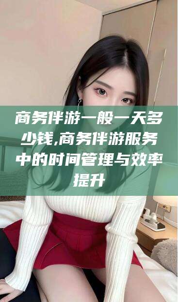 北海商务伴游一般一天多少钱,商务伴游服务中的时间管理与效率提升
